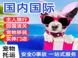 阿拉善左旗巴彦浩特航空快运国际宠物托运 【国